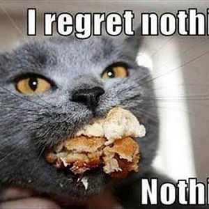 Cat-Eating-Cake-Meme.jpg