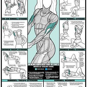 arm-exercises-for-women-with-weights.jpg