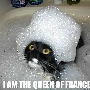 LOLcat+-+Queen+of+France.jpg