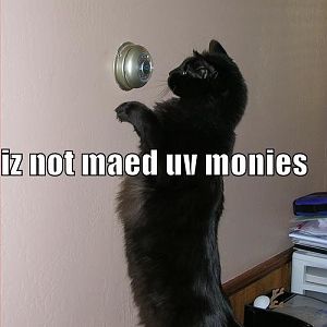 Thermostat Cat - Copy.jpg