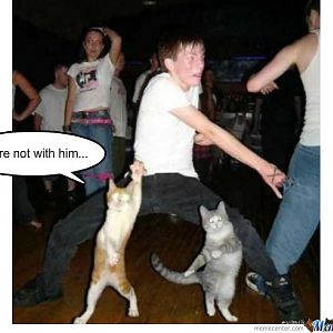 cat-dance-off_o_247784.jpg