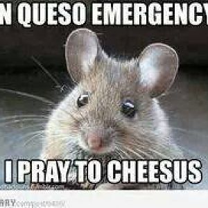 Mouse Prayer.jpg