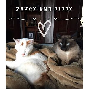 Zekey and Pip .jpg