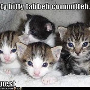 Tabbeh Committeh and Guest.jpg