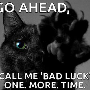 go-ahead-call-me-bad-luck-one-more-time-funny-back