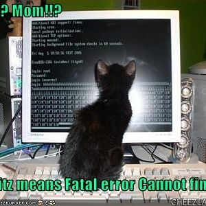 cattails-fatal_error.jpg