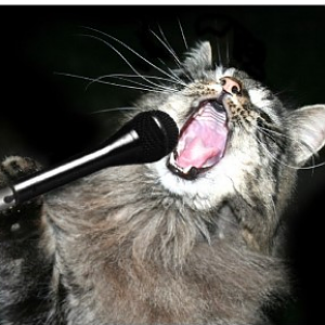 cats+do+sing.PNG