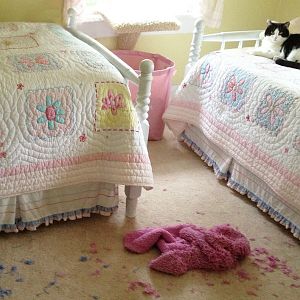 Look What My Cat Did To My Rugs!.jpg
