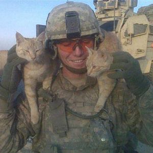soldiers_and_cats_09.jpg
