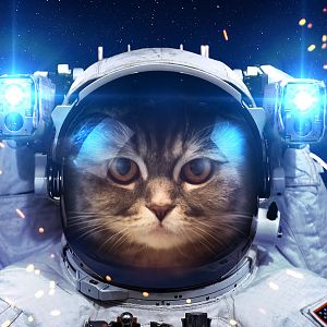 beautiful_cat_in_outer_space_by_vadimsadovski-d9as