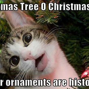 cats-vs-christmas-trees.jpg