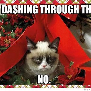 dashing-through-the-no-grumpy-cat-meme.jpg