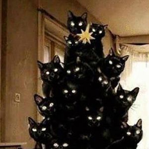 crazy-cat-lady-christmas-tree-2.jpg