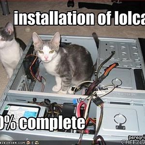 peregrin-installation_of_lolcats.jpg