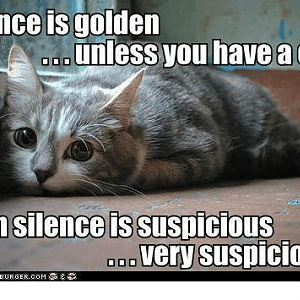 silence-is-golden-unless-you-have-a-cat-then-silen