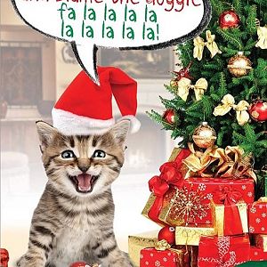 Blame-the-doggie-Cat-Christmas-Cards.jpg