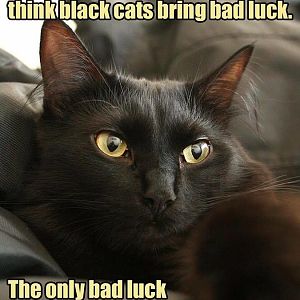 black cat blesing.jpg