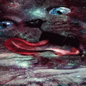 medium_gif-cat-cats-space-nebula-cat-gif-cats-in-s