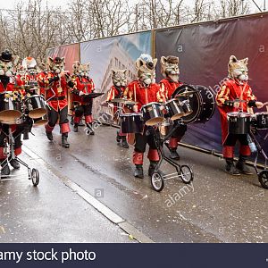 marching-band-of-cats-at-carnival-parade-stuttgart