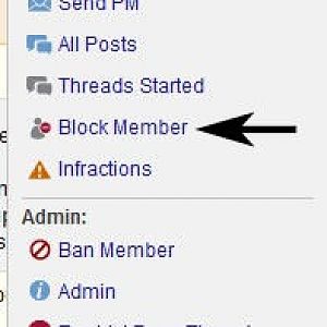 Block member.jpg
