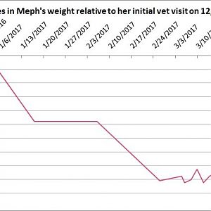 meph graph 2.jpg