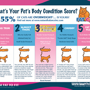 FCFD_BodyConditioning_Chart_1210_FINAL_Page_2.png