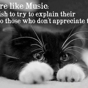 cats music.jpg