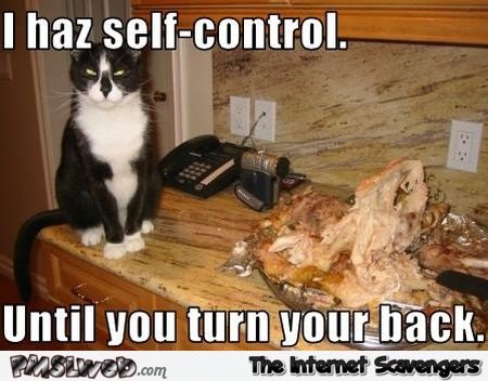 17-funny-cat-has-self-control-meme.jpg