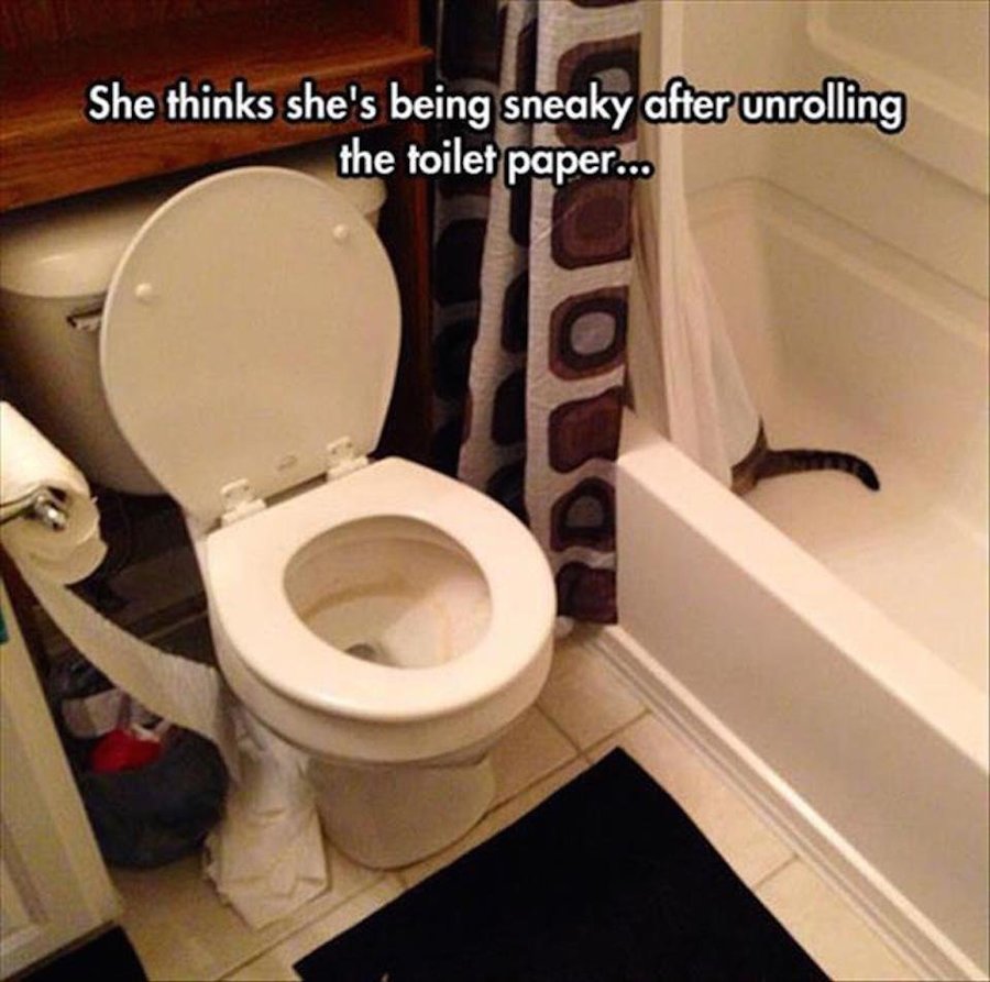 20-hilarious-memes-and-photos-about-the-hazards-of