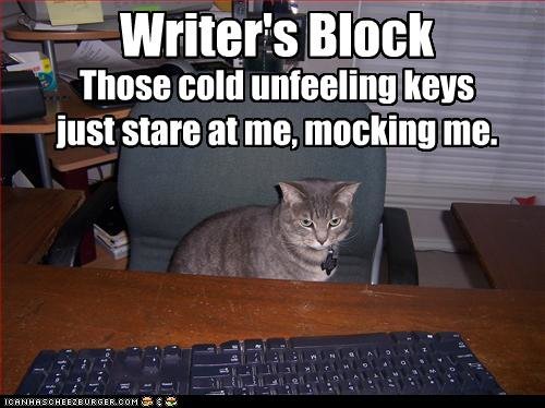 2b66c_funny-pictures-cat-has-writers-block.jpg