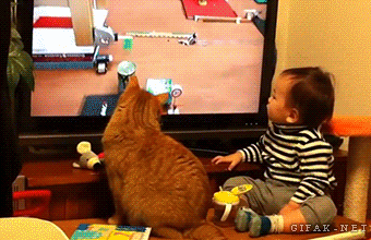 4933-Baby-Watching-Tv-With-His-Cat-Best-Friend.gif