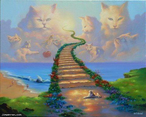 All Cats Go To Heaven.jpg