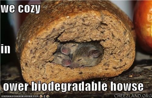 amandakat-bogwart-biodegradable_howse.jpg