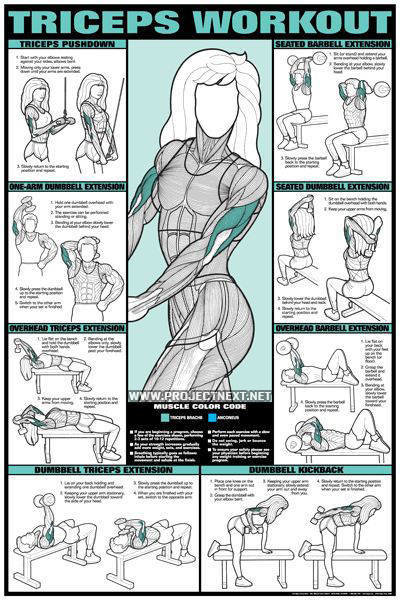 arm-exercises-for-women-with-weights.jpg