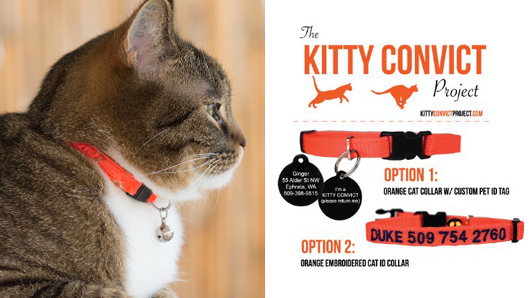 Artefact-Gift-Guide-kitty-convict1.png