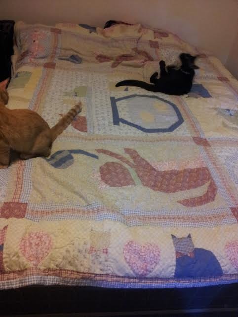 Babiese on the Quilt.jpg