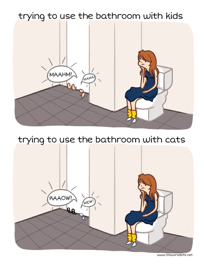BathroomCat.png