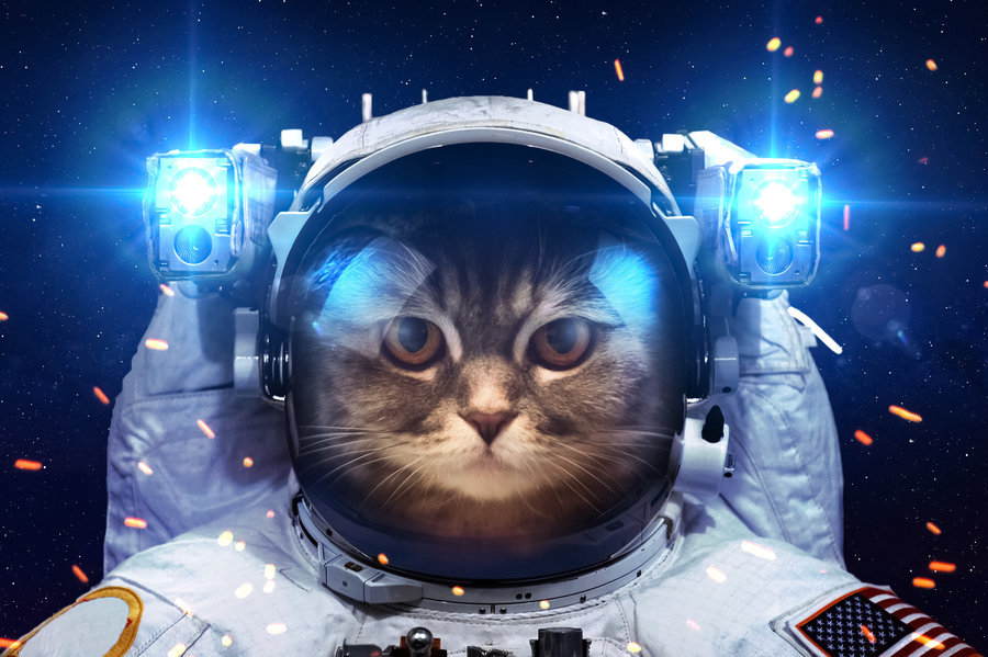 beautiful_cat_in_outer_space_by_vadimsadovski-d9as
