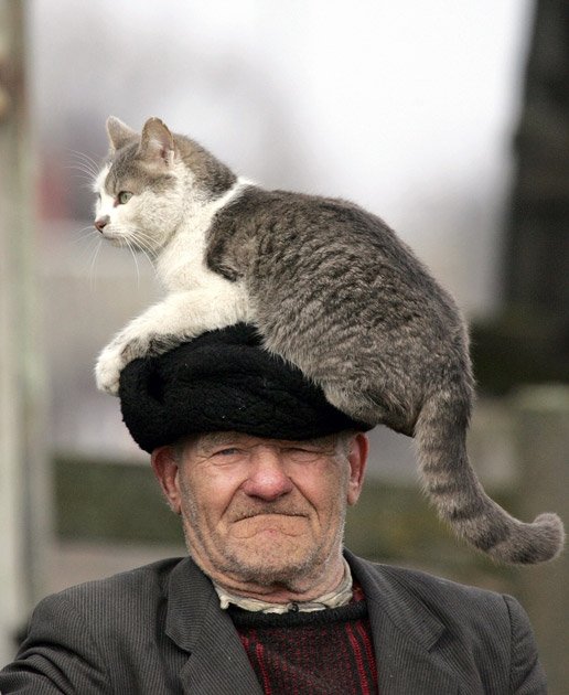 Belarus-Village-Life-cat-on-head-of-old-man.jpg