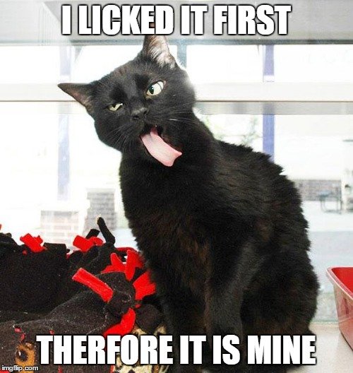 blac cat therefore it is mine.jpg