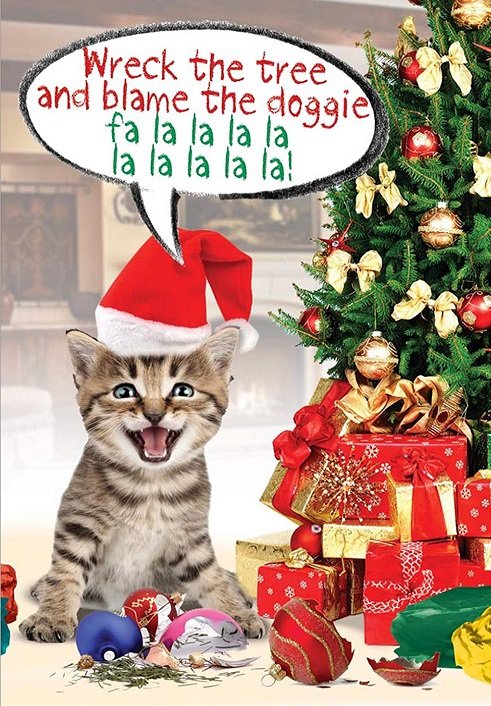 Blame-the-doggie-Cat-Christmas-Cards.jpg