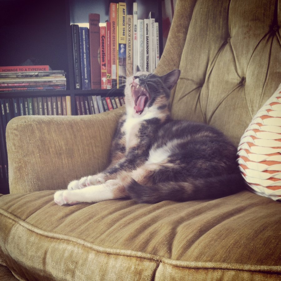 cam yawn.JPG