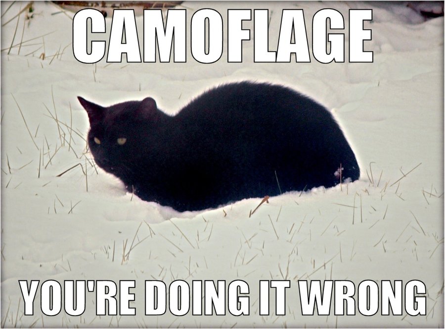 CAMOFLAGE.jpg