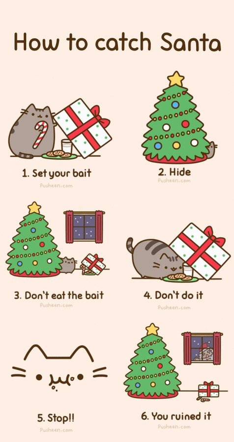 cat-christmas-do-dont-Favim.com-952585.jpg