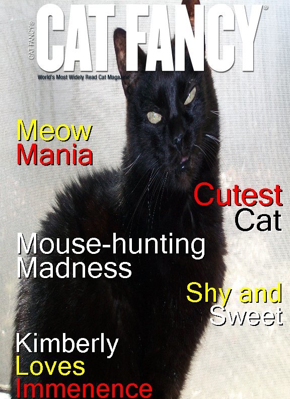 cat fancy mag.jpg