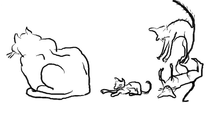 Cat group.png