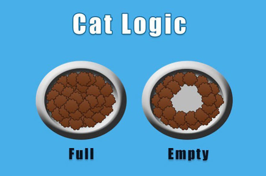 cat logic food.jpg