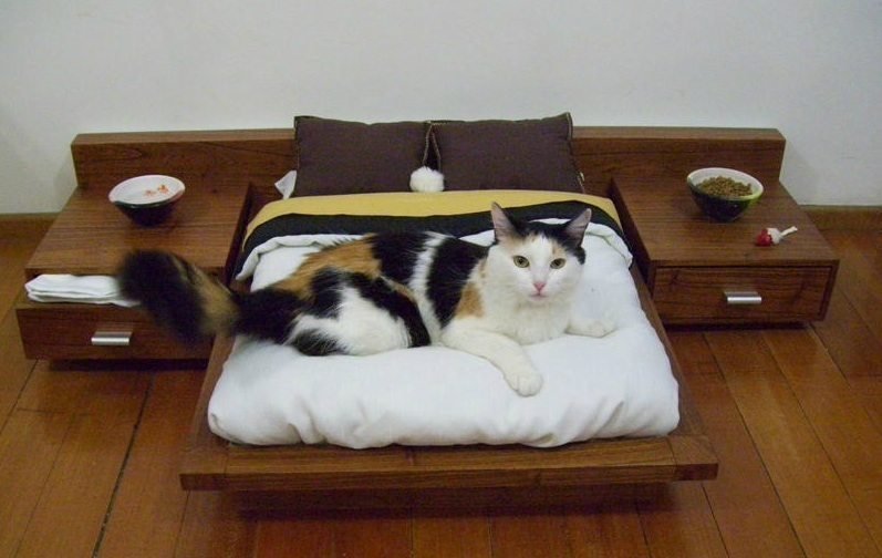 Cat-Platform-Bed.jpg