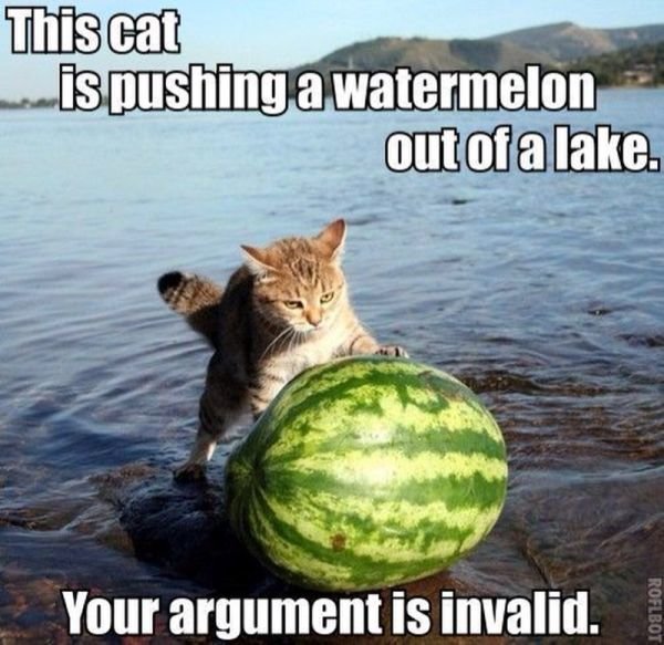 Cat-Pushes-a-Watermelon-Out-Of-a-Lake-For-World-Do