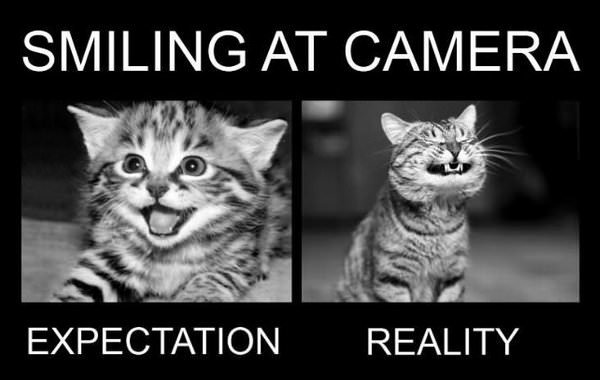 Cat-smile-at-camra.jpg